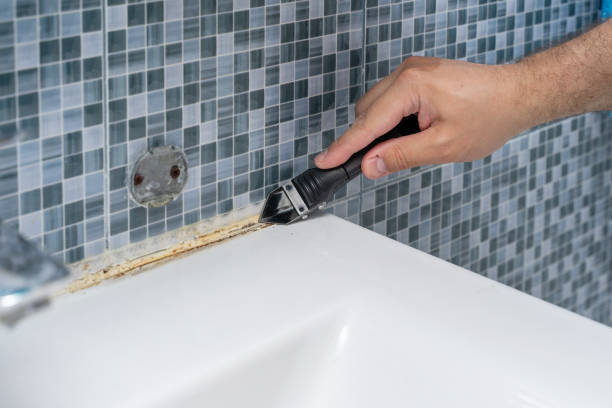 Best Localized Mold Remediation (e.g., coastal areas, humid climates) in Pleasant Hill, MO