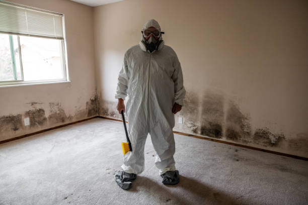 Professional Mold Remediation in Pleasant Hill, MO
